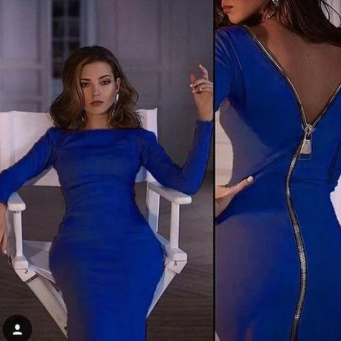 Bernadeth Bodycon-Kleid mit langem Reißverschluss am Rücken